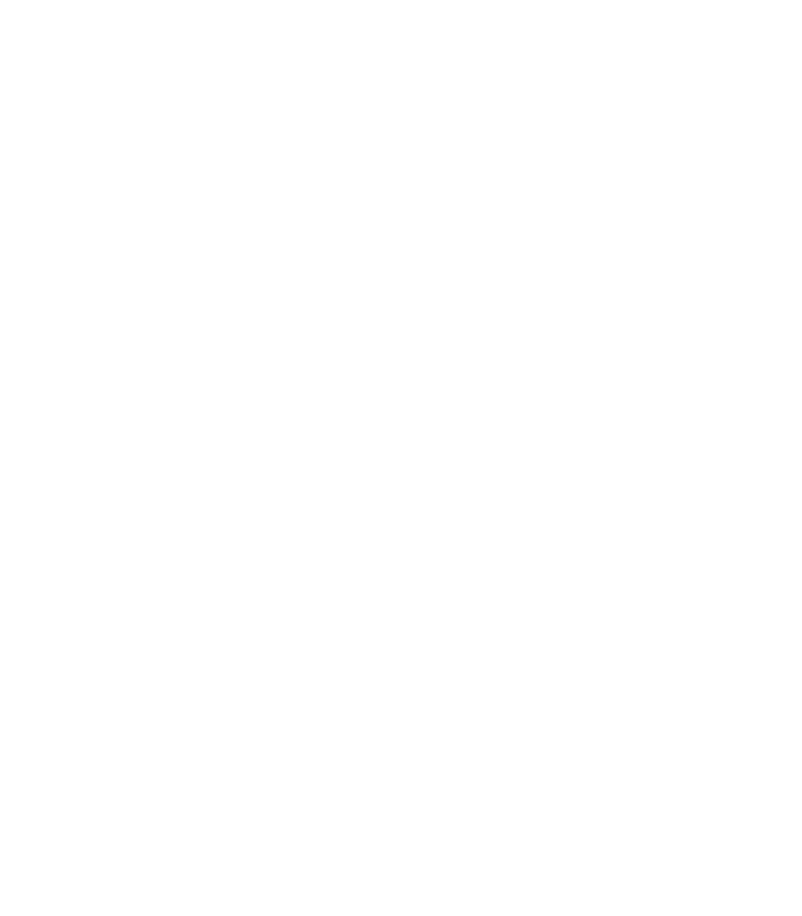 The ZUGFeRDig horse